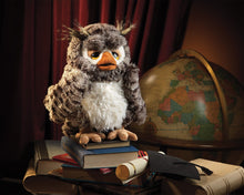 Load image into Gallery viewer, Owl, Wise  Folkmanis Puppet