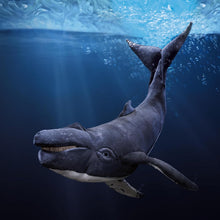 Load image into Gallery viewer, Whale, Humpback Folkmanis Puppet