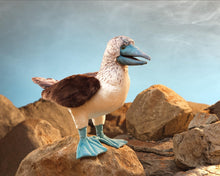 Load image into Gallery viewer, Blue-Footed Booby Folkmanis Puppet