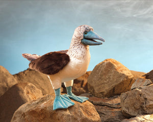 Blue-Footed Booby Folkmanis Puppet