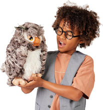Load image into Gallery viewer, Owl, Wise  Folkmanis Puppet