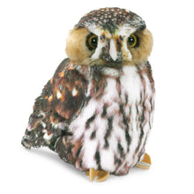 Load image into Gallery viewer, Owl, Pygmy Folkmanis Puppet