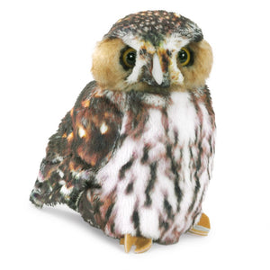 Owl, Pygmy Folkmanis Puppet