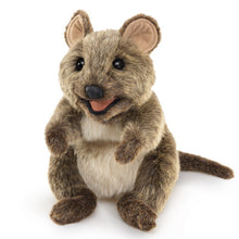 Load image into Gallery viewer, Quokka Folkmanis Puppet