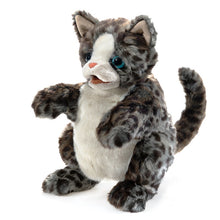 Load image into Gallery viewer, Kitten, Wildcat Folkmanis Puppet