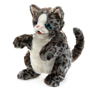Kitten, Wildcat Folkmanis Puppet