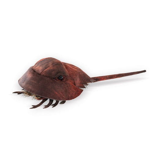 Horseshoe Crab Folkmanis Puppet