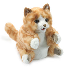 Load image into Gallery viewer, Kitten, Orange Tabby Folkmanis Puppet