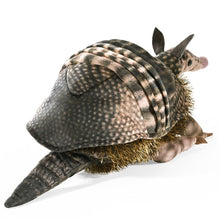Load image into Gallery viewer, Armadillo Folkmanis Puppet