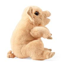 Load image into Gallery viewer, Piggy Folkmanis Puppets