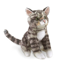 Load image into Gallery viewer, Mini Tabby Cat Folkmanis Puppet