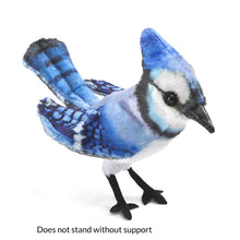 Load image into Gallery viewer, Mini Jay, Blue Folkmanis Puppet