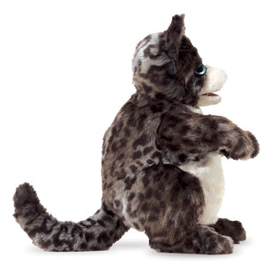 Kitten, Wildcat Folkmanis Puppet