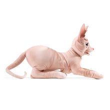 Load image into Gallery viewer, Sphynx Cat Folkmanis Puppet