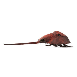 Horseshoe Crab Folkmanis Puppet