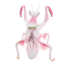 Load image into Gallery viewer, Mantis, Orchid Folkmanis Puppet
