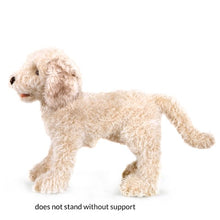 Load image into Gallery viewer, Labradoodle Folkmanis Puppet