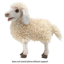 Load image into Gallery viewer, Sheep, Woolly Folkmanis Puppet