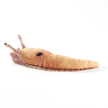 Load image into Gallery viewer, Mini Slug, Banana  Folkmanis Puppet