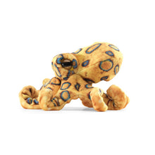 Load image into Gallery viewer, Mini Octopus, Blue-Ringed Folkmanis Puppet