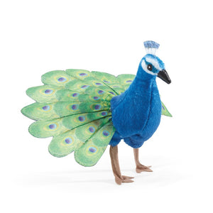 Mini Peacock Folkmanis Puppet