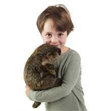 Load image into Gallery viewer, Groundhog Folkmanis Puppet