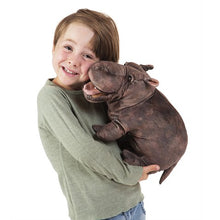 Load image into Gallery viewer, Hippo, Baby Folkmanis Puppet