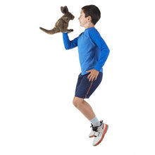 Load image into Gallery viewer, Kangaroo, Small Folkmanis Puppet