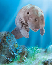Load image into Gallery viewer, Manatee Folkmanis Puppet