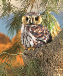 Owl, Pygmy Folkmanis Puppet