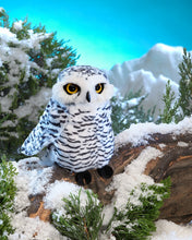 Load image into Gallery viewer, Owl, Small Snowy Owl Folkmanis Puppet