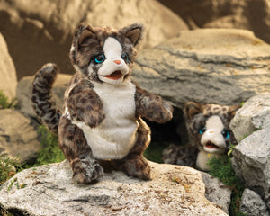 Kitten, Wildcat Folkmanis Puppet