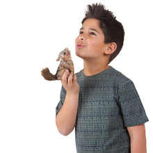 Load image into Gallery viewer, Mini Coyote Folkmanis Puppet