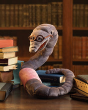 Load image into Gallery viewer, Bookworm Folkmanis Puppet