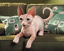 Load image into Gallery viewer, Sphynx Cat Folkmanis Puppet