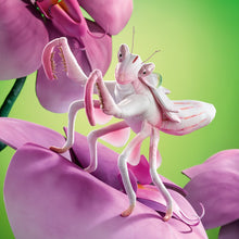Load image into Gallery viewer, Mantis, Orchid Folkmanis Puppet