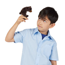 Load image into Gallery viewer, Mini Bear, Sitting Folkmanis Puppet