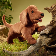 Load image into Gallery viewer, Dachshund Folkmanis Puppet