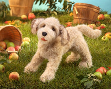 Load image into Gallery viewer, Labradoodle Folkmanis Puppet