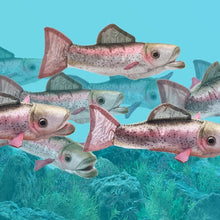 Load image into Gallery viewer, Mini Trout, Rainbow Folkmanis Puppet