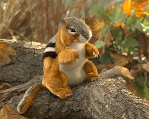 Chipmunk Folkmanis Puppet