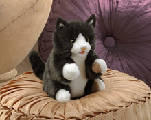 Load image into Gallery viewer, Kitten, Tuxedo Folkmanis Puppet