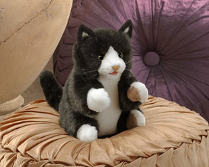 Kitten, Tuxedo Folkmanis Puppet