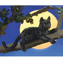 Load image into Gallery viewer, Cat, Black Folkmanis Puppet
