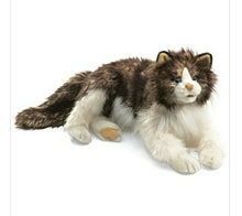 Load image into Gallery viewer, Cat, Ragdoll Folkmanis Puppet
