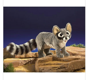 Cat, Ringtail Folkmanis Puppet