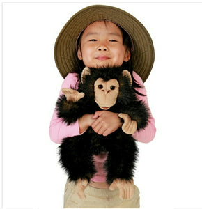 Chimpanzee, Baby Folkmanis Puppet