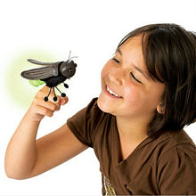 Load image into Gallery viewer, Mini Firefly Folkmanis Puppet
