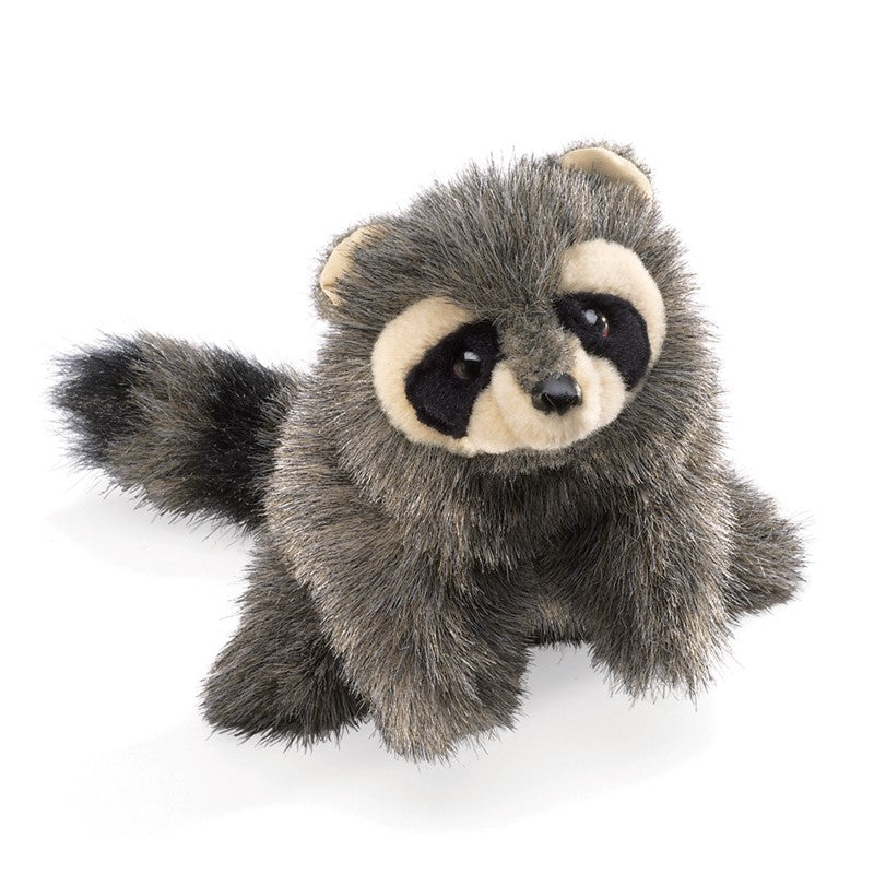 Raccoon, Baby Folkmanis Puppet