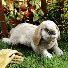 Load image into Gallery viewer, Rabbit, Holland Lop Folkmanis Puppet
